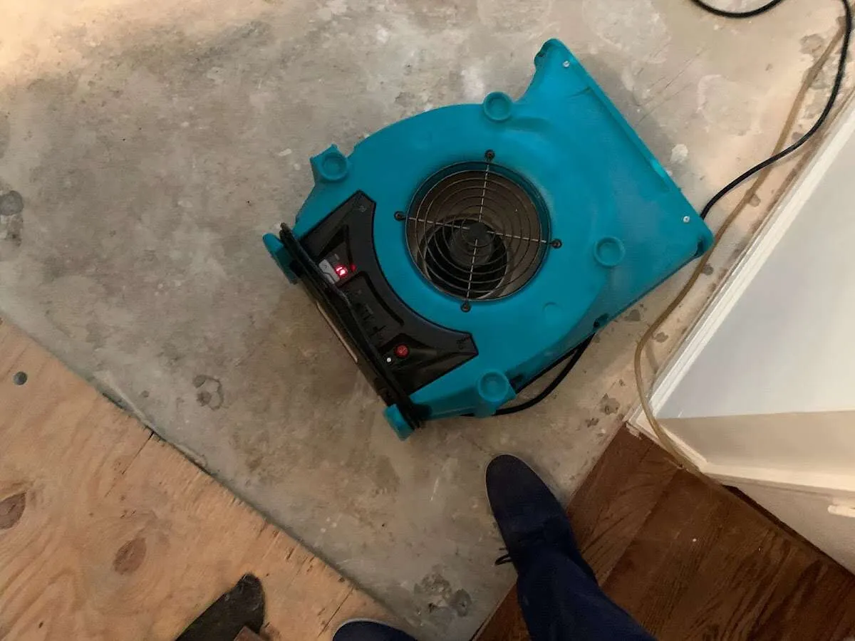 Air mover drying subfloor during Leak Detection & Repair in Woodside